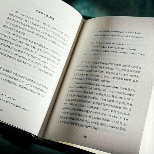 雪地里的橙 诗人论诗 精装 诗集 中国文学 商品图11