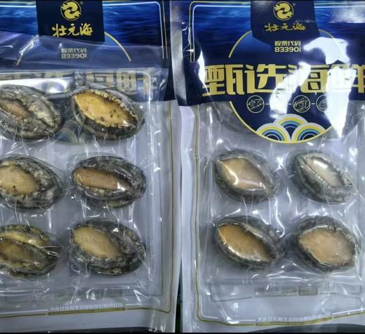 大连长海 壮元海活冻6头/斤大鲍鱼（完整带壳） 国家级海洋牧场 一类水质 商品图3