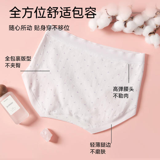 全棉印花舒适内裤（蝴蝶结） 商品图4