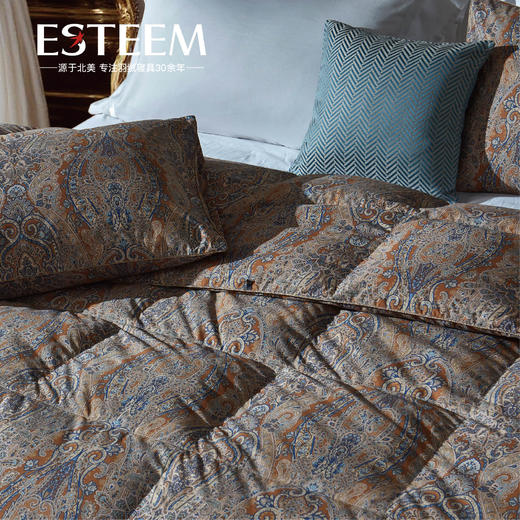 枫丹鎏爵瞬吸95%鹅绒冬被 商品图1