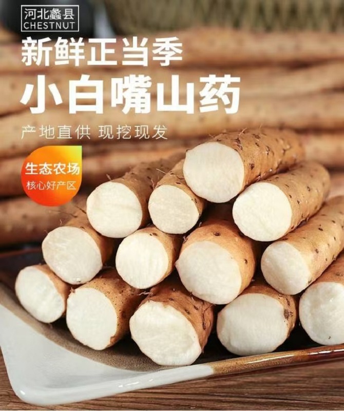 绿色认证，地标认证，河北蠡县小白嘴山药（无农残，带土）