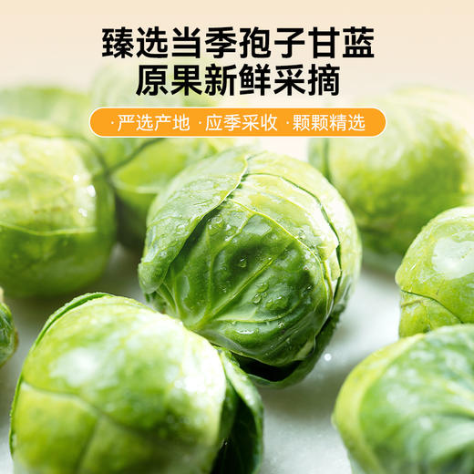 【长寿蔬菜果干】冻干孢子甘蓝莓果蔬菜主食伴侣补充维生素犬猫零食50g 商品图5