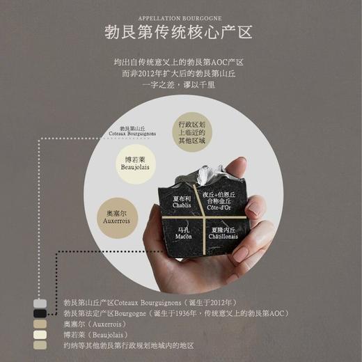 【勃艮第核心产区】丹特庄园·原瓶进口干红葡萄酒  12.5%vol 商品图7