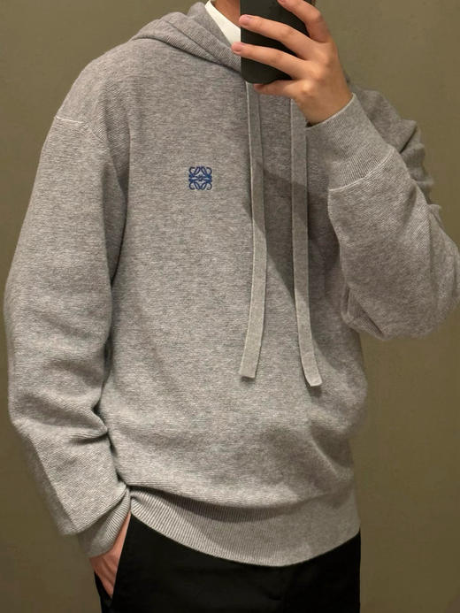 1030-2 纯圆正 25新款新色 lew刺绣徽标 羊毛圈圈 男女同款连帽衫 商品图0