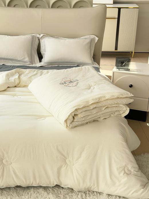 秋冬大豆子母被 柔软保暖四季可用被芯 商品图9