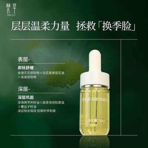 梵草多菊舒缓精华油 商品图1