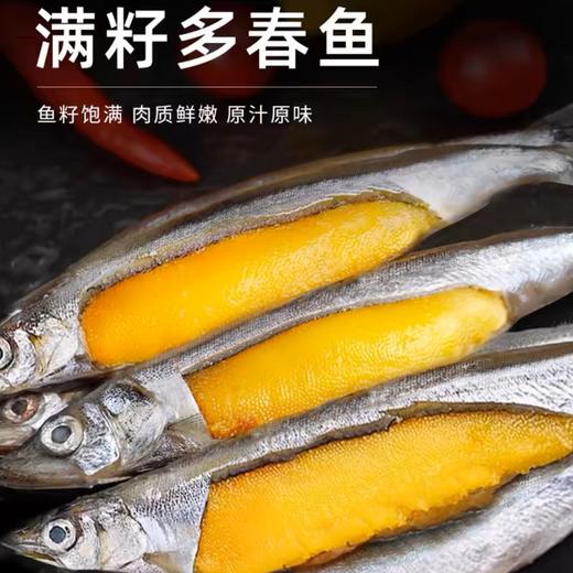 【挪威进口·满籽多春鱼】疯抢中！！深海捕捞 99%满腹黄金籽 刺少肉嫩高蛋白 老少皆宜 250g*5大包 商品图0
