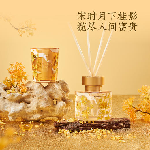 宋朝月下赴桂系列香薰 商品图1