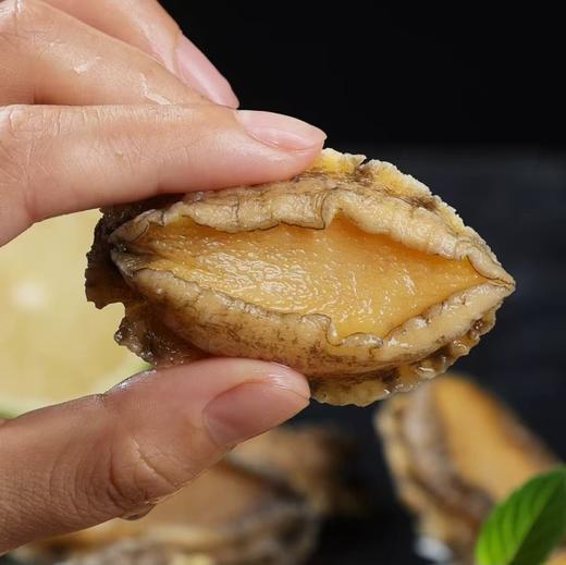 大连长海 壮元海鲍鱼肉（去壳去内脏8分熟） 国家级海洋牧场 一类水质  商品图1