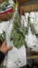 玫瑰海洋之心 商品缩略图1
