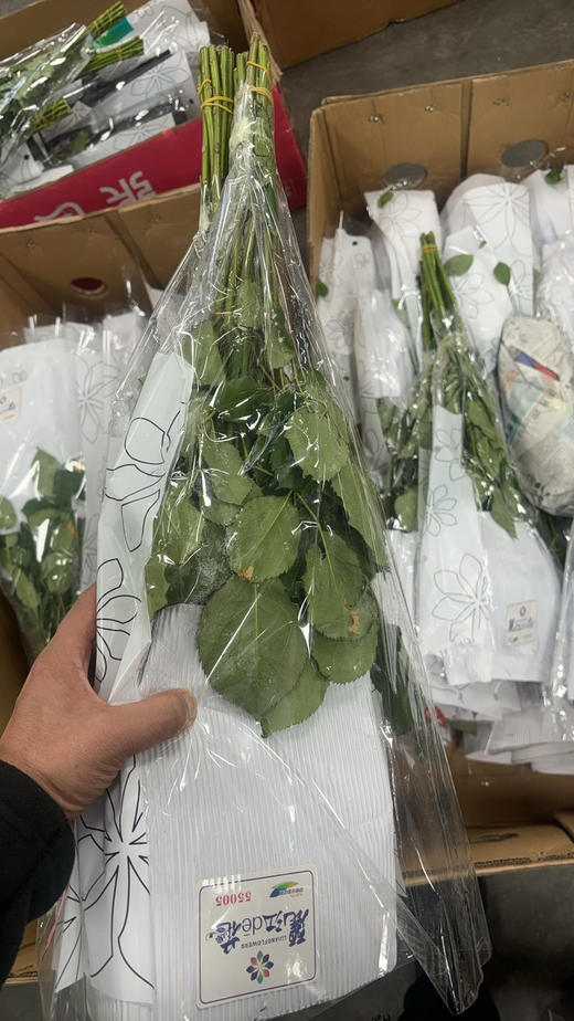 玫瑰海洋之心 商品图1