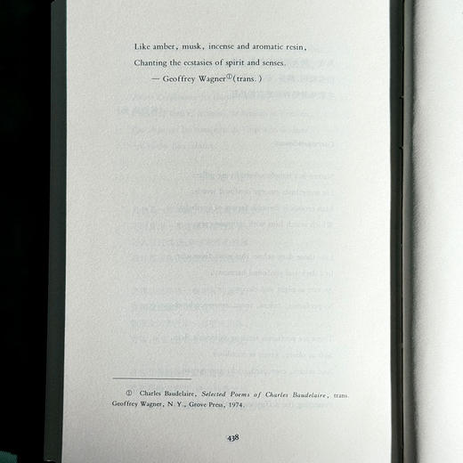 雪地里的橙 诗人论诗 精装 诗集 中国文学 商品图14