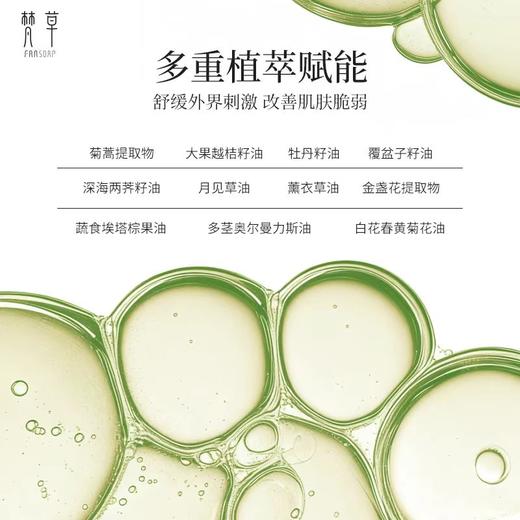 梵草多菊舒缓精华油 商品图2