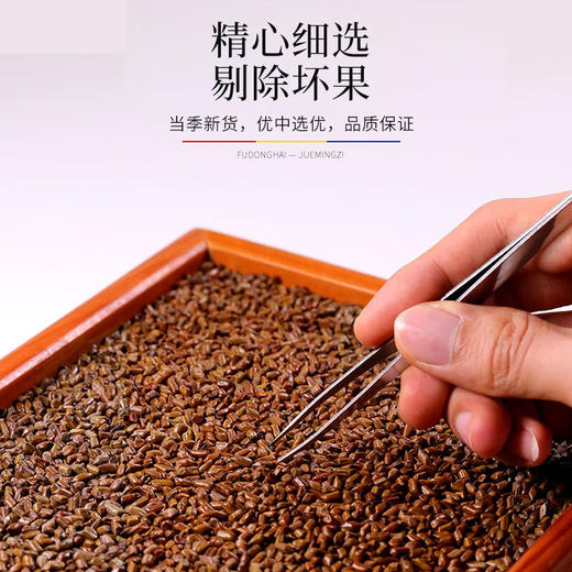 【福东海】 决明子茶500g /瓶 商品图3