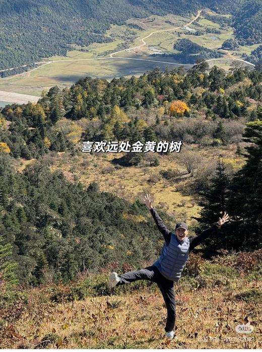 独家🐦鸟𝐂𝐞𝐫𝐢𝐮𝐦 𝐯𝐞𝐬𝐭排骨鹅绒马甲 850蓬鹅绒+Coreloft™ 抗潮❗️大爆款🔥 商品图4