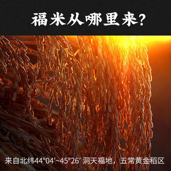 袁谷农场 软香米20斤 五常大米 2025年新米 19266 东北大米 粳稻米 /粮油调味 /米 /稻花香米 商品图1