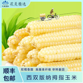 云南拇指玉米A货，香甜软糯