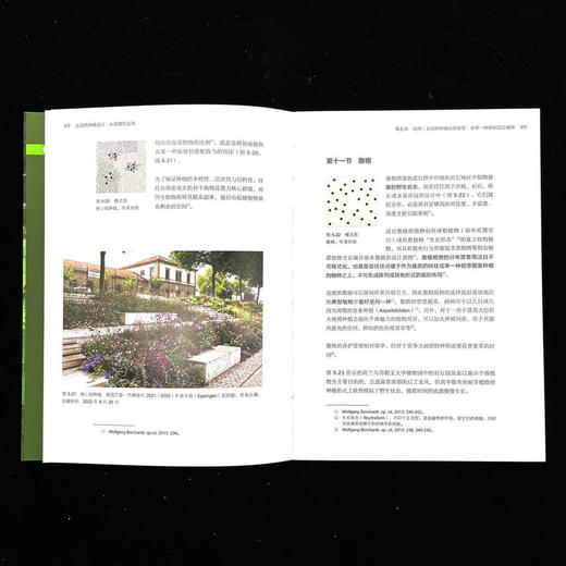 官网 近自然种植设计 从原理到应用 李然 观赏园艺 植物设计 近自然种植设计书籍 商品图3