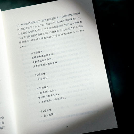 雪地里的橙 诗人论诗 精装 诗集 中国文学 商品图8