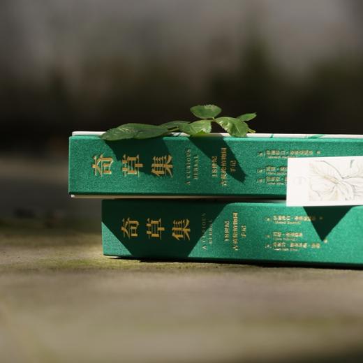 奇草集：18世纪古英伦植物园手记 商品图5