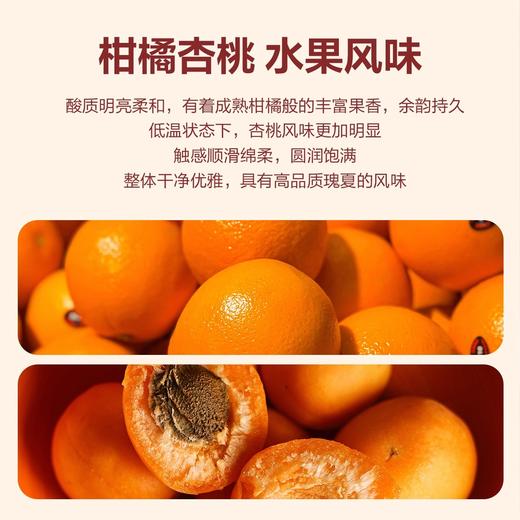 明谦云镜瑰夏挂耳咖啡商超同款美式黑咖啡手冲粉挂耳式阿拉比卡 商品图1