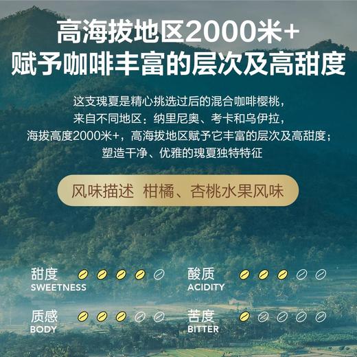 明谦云镜瑰夏挂耳咖啡商超同款美式黑咖啡手冲粉挂耳式阿拉比卡 商品图4