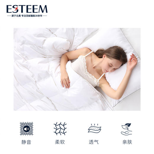 尼尔森95鹅绒拒污PLUS春秋/冬被 商品图3