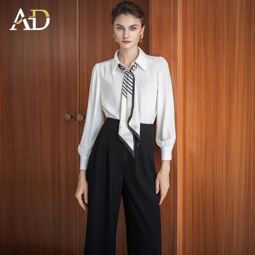 AD新款女装2025秋季设计感小众洋气飘带长袖雪纺衬衫上衣翻领百搭 商品图3