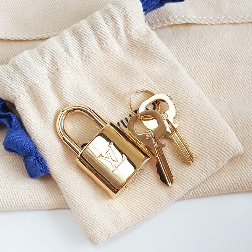 【98新】LV路易威登Speedy系列M46234老花黑肩带Speedy 20手提单肩包女士281025NJT02 商品图2