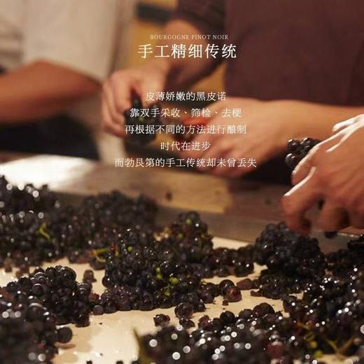 【勃艮第核心产区】丹特庄园·原瓶进口干红葡萄酒  12.5%vol 商品图6