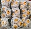 L枇杷约1斤 商品缩略图0