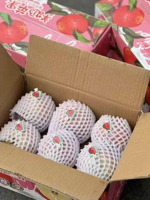 周三取货：【羊奶苹果】一箱毛重7斤左右，松脆细腻，水润清甜，淡淡奶香。 商品图5