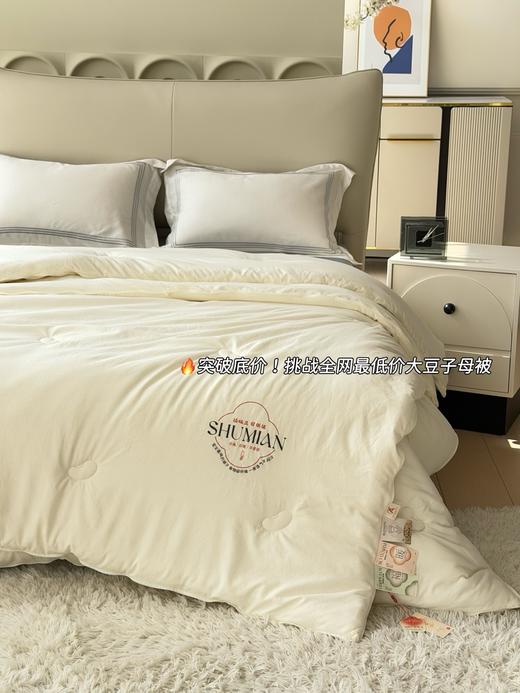 秋冬大豆子母被 柔软保暖四季可用被芯 商品图1