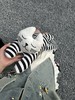 纯原出口亚马逊原单条纹小懒猫 商品缩略图14
