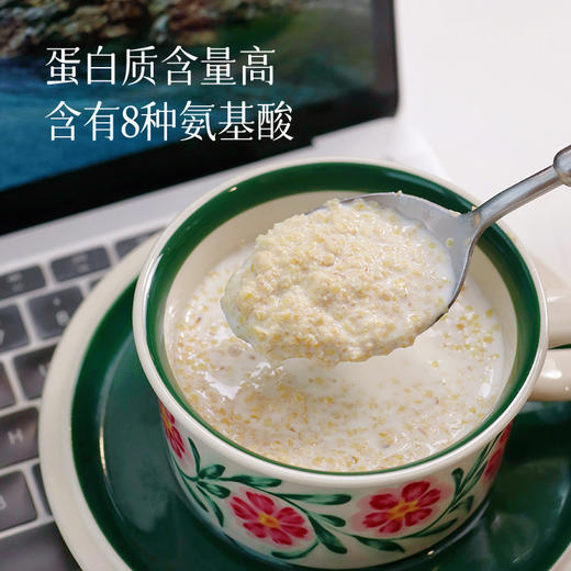 【39元满满2大罐】小麦胚芽 饱腹感很强  平衡饮食 高膳食纤维~ 商品图1