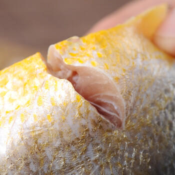 三都港 冷冻三去黄花鱼500g/3条装 小黄鱼 深海鱼 生鲜 鱼类 烧烤食材 商品图4