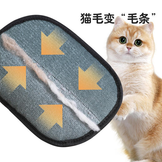 宠物静电除毛手套双向刷毛粘毛除毛神器猫狗养宠必备手套猫毛清理 商品图1