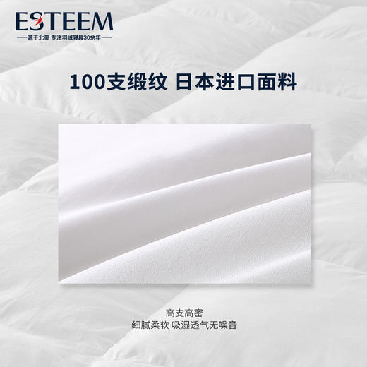 尼尔森95鹅绒拒污PLUS春秋/冬被 商品图2