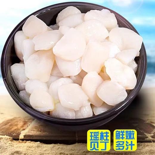 大连长海 壮元海原浆贝丁 今年新货特别肥 商品图5