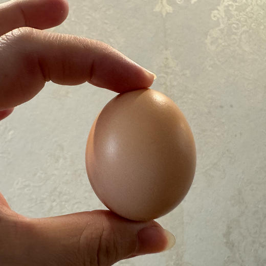 乌乡基泰和乌鸡蛋30枚装 商品图2