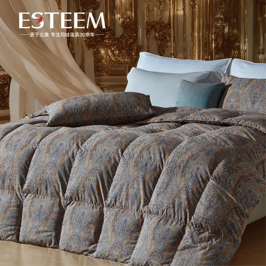 枫丹鎏爵瞬吸95%鹅绒冬被 商品图0