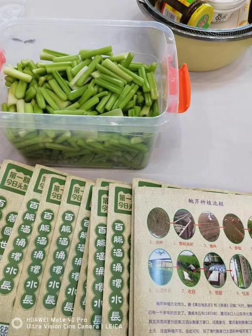 山东章丘鲍芹 商品图5