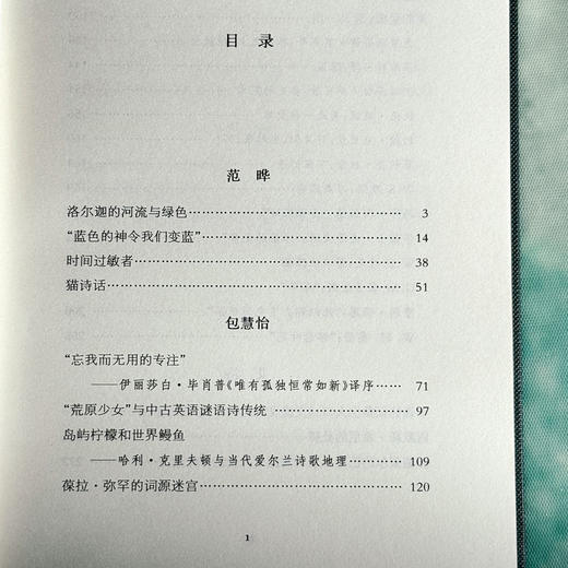 雪地里的橙 诗人论诗 精装 诗集 中国文学 商品图6