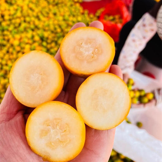 【云南脆蜜小金桔】也叫脆蜜金柑 第三代脆蜜金柑 顺丰包邮 甜脆爽口 纯甜多汁 少籽甚至无籽 香甜浓厚 口感顺滑 4种规格任选 商品图1