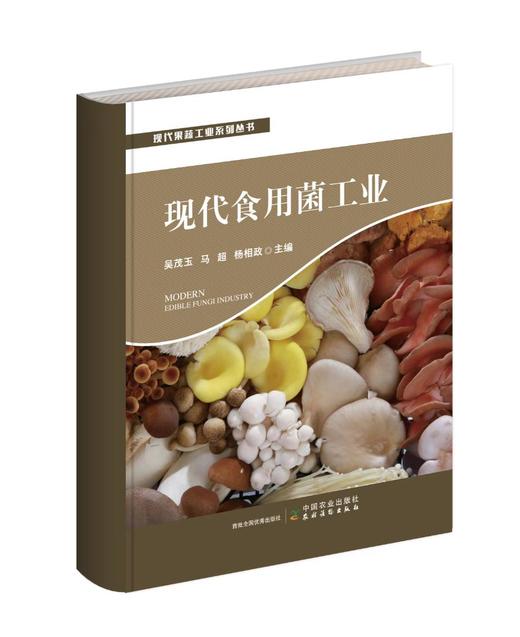 现代果蔬工业系列丛书 商品图0