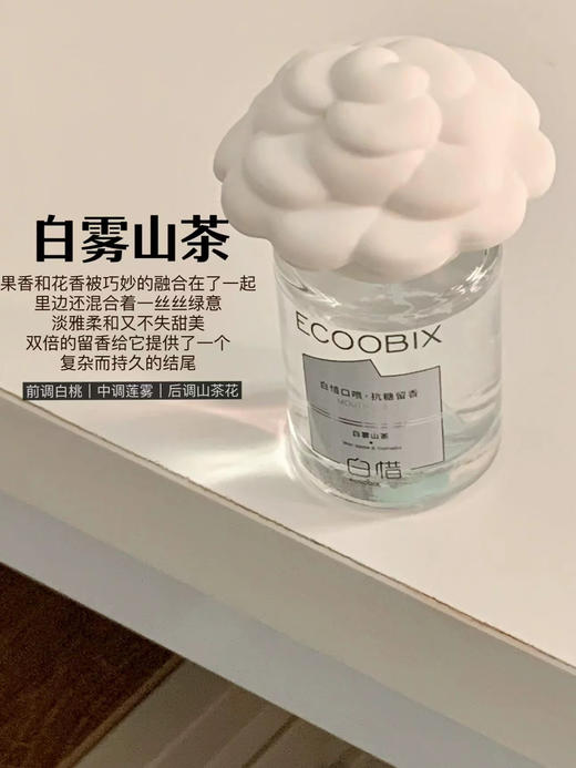 口齿留香~白惜口喷15ml清新口气便携预防异味口腔喷雾持久香氛 商品图5