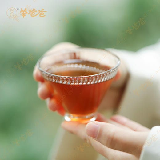 升级【葱豉汤】葱豉味偏浓 温和不伤身 换季常备 商品图8