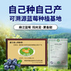 ⁴99元/3袋【贵州有机麻江蓝莓】纯的有机水果蓝莓原浆 YC04-CRMM-XGSC 商品缩略图1