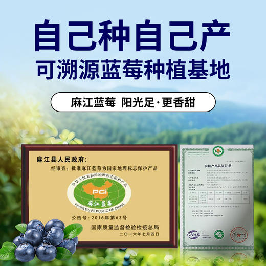 ⁴99元/3袋【贵州有机麻江蓝莓】纯的有机水果蓝莓原浆 YC04-CRMM-XGSC 商品图1