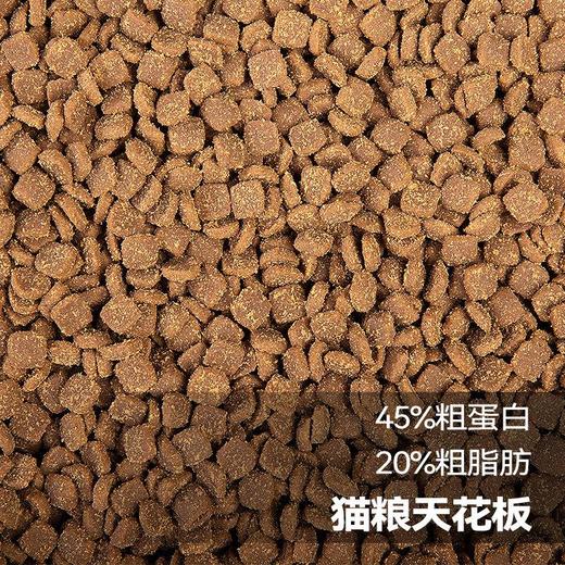 宠物猫粮 全价猫粮 主粮 成猫幼猫通用猫粮 全阶适配高性价比低敏易消化 商品图4